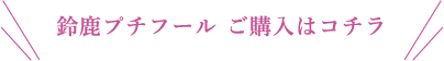 鈴鹿プチフール ご購入はコチラ